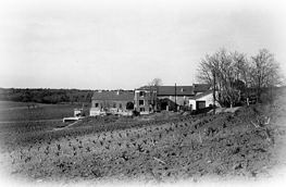 Château Mont-Redon, Châteauneuf-du-Pape